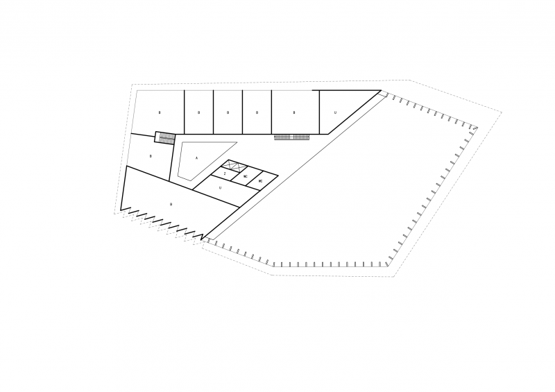 3.np